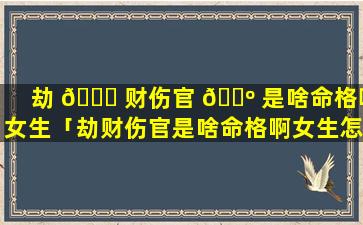 劫 🐛 财伤官 🐺 是啥命格啊女生「劫财伤官是啥命格啊女生怎么办」